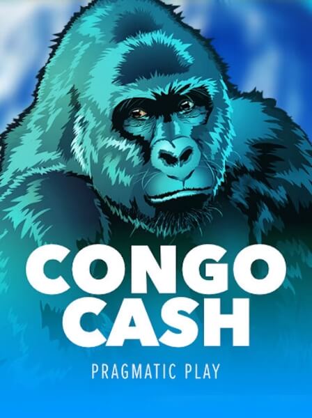 A Deep Dive into RapidBet\